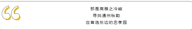 20181212085154_43250.png