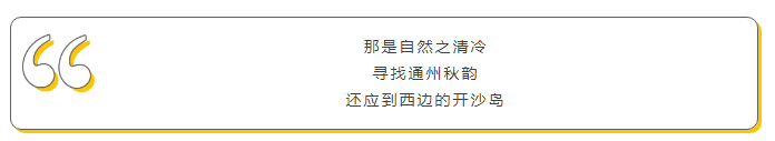 20181212085154_43250.png